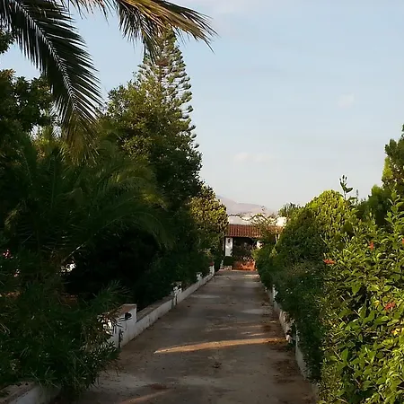 Flora *